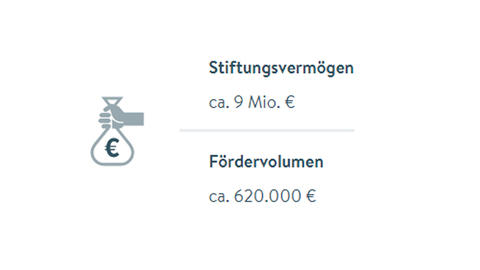 Stiftungsvermögen und Fördervolumen
